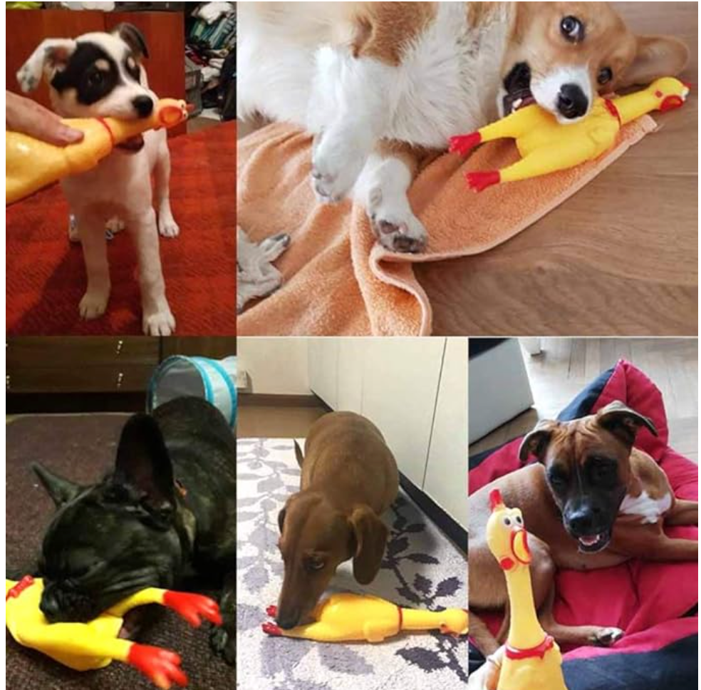 Shrilling Squeaky Rubber Chicken – Hilarious Noise-Making Novelty Toy - Age 6+